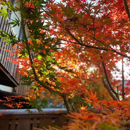 Imakumano Terrace - Dohachi An 道八庵 Villa Kyoto Exteriör bild