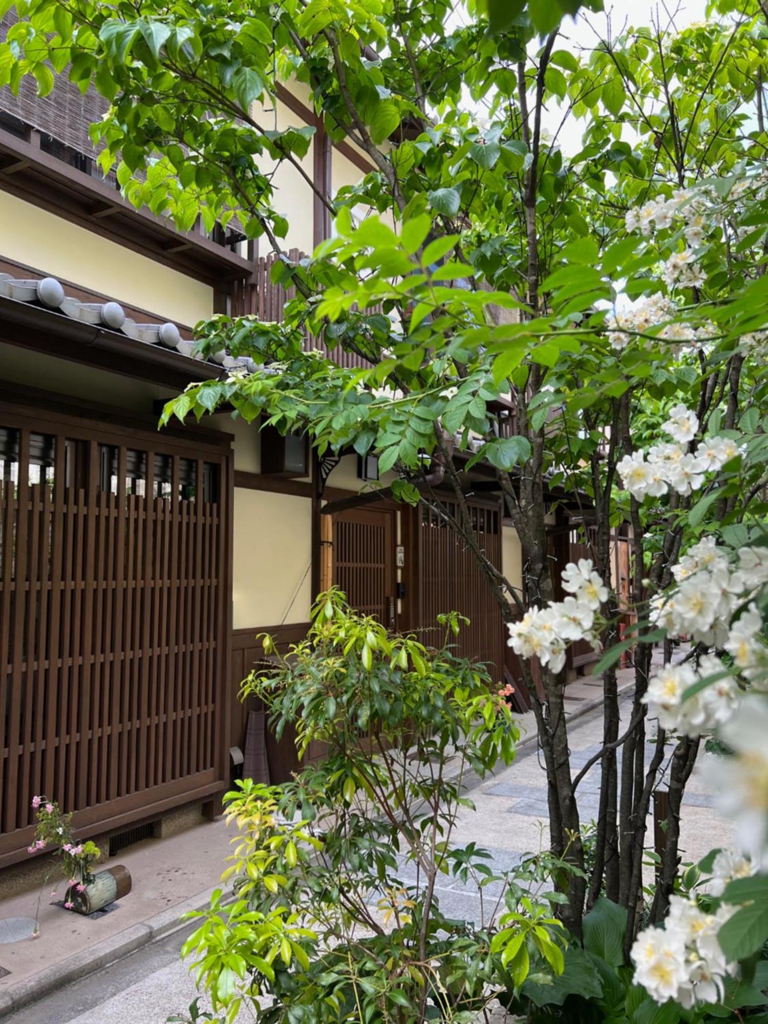 Imakumano Terrace - Dohachi An 道八庵 Villa Kyoto Exteriör bild