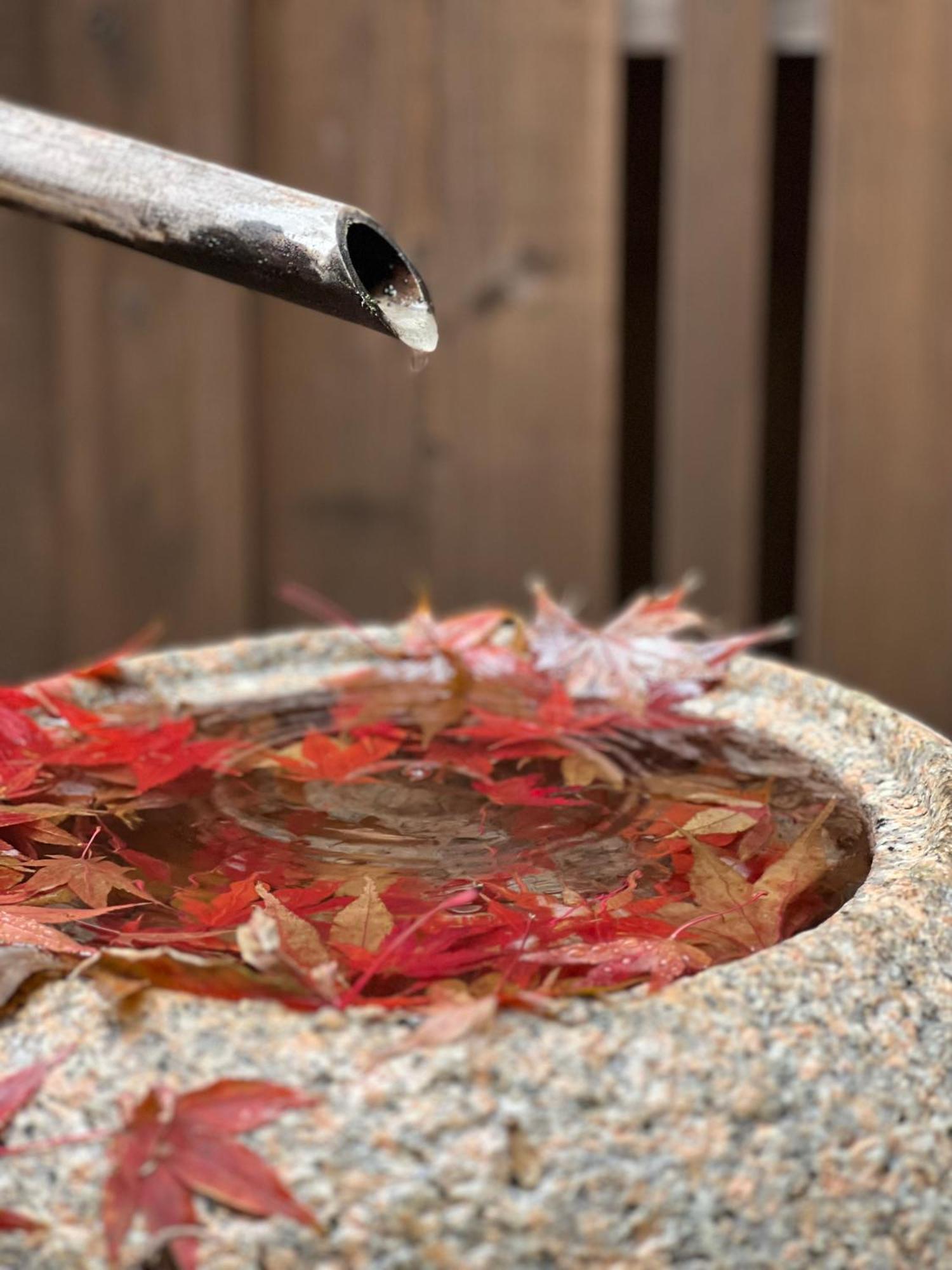 Imakumano Terrace - Dohachi An 道八庵 Villa Kyoto Exteriör bild